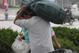 一天40元引热议！“上海爸爸”被群嘲，揭露了当代父母病态的教育图片