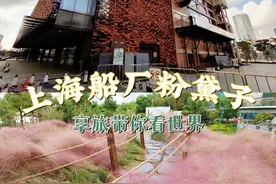 秋游正当时，上海船厂滨江绿地的粉黛子花田图片