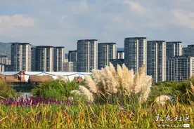 滇池草海隧道公园：秋日美景，游玩纪实！（附美图）图片