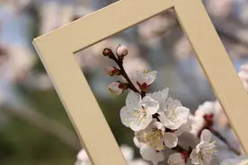 最美人间四月天！来看看新乡高校的靓丽春景吧图片