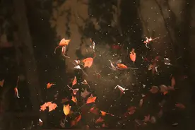 〖万圣节要糖文案〗图片