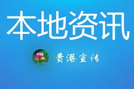 覃塘区竞争性转任和公开选聘工作人员的公告图片