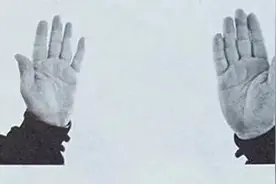 陈式太极拳基本手型图解，简单易懂图片