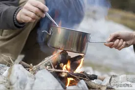 12种最常见的可食用昆虫以及荒野生存中食用昆虫的安全提示图片