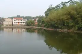 老父亲溺爱生恶果，一家法盲犯下大错，背后原因令人唏嘘图片