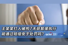 王某某打人被拘7天获暂缓执行 能通过赔偿免于处罚吗？图片