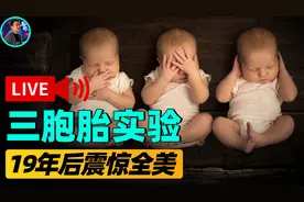 美国“三胞胎分养”实验！20年后一个自杀，一个暴富，一个失踪图片