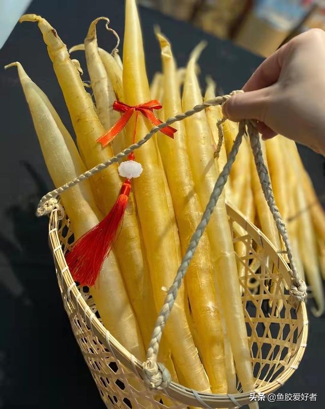 佐罗鱼胶的主要功效 2026年佐罗鱼胶的营养价值