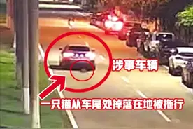 真相大白！海口警方：“猫在汽车尾部拖行”系意外，未发现存在故意伤害猫的行为图片