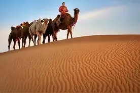 五一带孩子去沙漠撒欢儿，滑沙、骑骆驼、数星星~图片