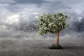 阿里衰败，自盒马始？图片