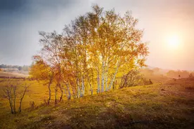 好色又花心的男人，在女人面前很容易暴露，看两个细节图片