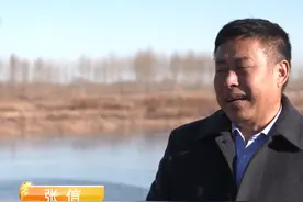 黑龙江大爷养会飞的鹅，被大雁拐跑3000只，半年后却赚上千万图片