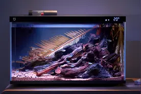 米家智能鱼缸正式开售，半年不用换水图片