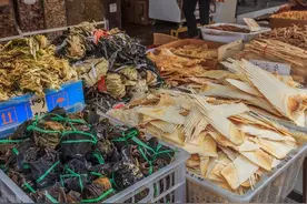 从东南亚进口药材，这些事儿你要了解图片