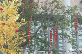 新生儿重名率前十，看看有没有“似曾相识”图片