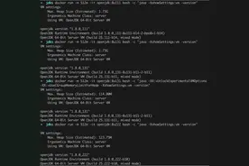 一个关于 Java 的堆内存的小探索图片
