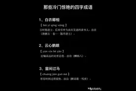 那些冷门惊艳的四字成语 ​​​图片