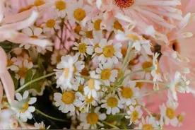 想要征服一个女人的心，其实是有方法的图片