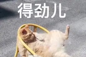 河南方言的归属、日常用语和音韵特点，了解之后更得劲图片