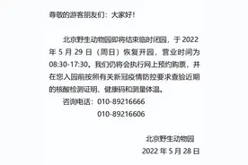 北京野生动物园5月29日恢复开园图片