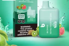 什么是草本雾化器？图片