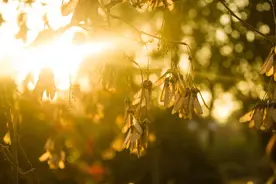 汗从哪出，病从哪来？在夏季，为啥有人出汗多，有人出汗少？图片