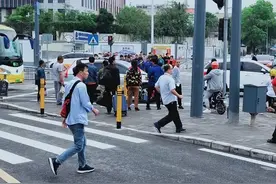 图解丨礼让斑马线的正确操作，看完今后不失分图片