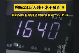 闹大了！河北粮库两年万吨玉米离奇失踪，驻库员狂揽2500万被曝光图片
