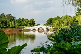 实拍广州最大的人工湖，虽然颜值很高，但因为“偏僻”而游客不多图片