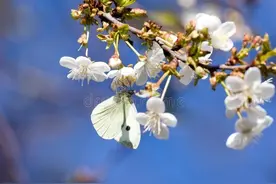 75岁老人直言：退休金6千存款几十万，跟小十岁的老伴搭伙很满足图片