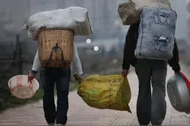 捕蛇村民被疯狂追杀五年，死后坟墓成蛇窝！蛇真的会报复人类吗？图片