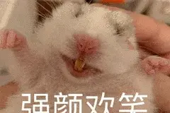 出租房必备？无需安装？移动空调，没你想的那么美好图片