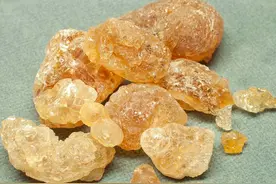 蝴蝶效应：苏丹军事冲突，全球饮料工业面临冲击！图片