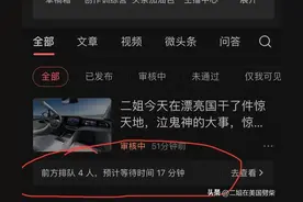 作品一直显示审核中，怎么办，其实可以加快审核哟图片