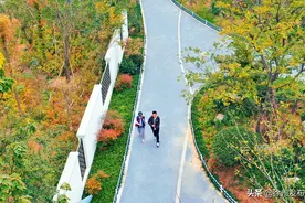 @徐州人，家门口要新建这些口袋公园！图片