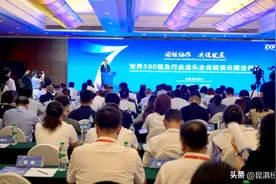 第7届南博会 | 世界500强看好云南发展图片