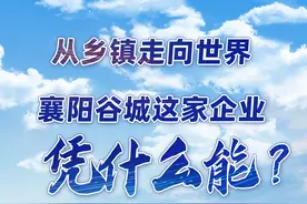 从乡镇走向世界，襄阳谷城这家企业凭什么能？图片