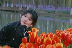 四六级700+？浙大学子的英语四六级经验贴不容错过！图片