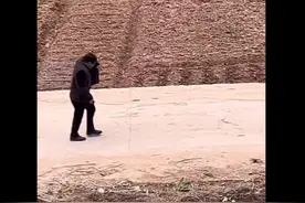 爷爷颤颤巍巍去见孙子最后一面图片