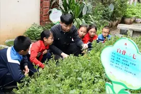 落实编制、专岗招聘！任职“兵教师”又有好消息！图片