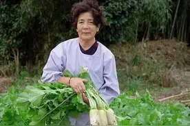 65岁阿姨同意和前夫复婚，3个月后，前夫给100万求她离开，太感人图片