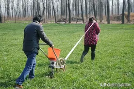 2022年1月，实拍苏鲁豫皖交界处的农村，这样图片堪称乡土经典图片