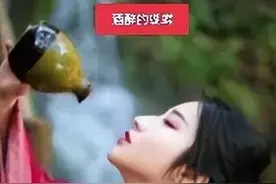 谁是酒醉的蝴蝶图片