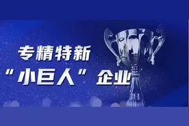 分析国家“小巨人”企业特点，如何培育专精特新企业？图片