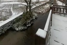 刚刚，厦门下雪了图片