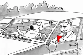 如何看出一个人的驾驶水平图片