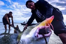 渔民在黑龙江误捕一条大鱼，放流站为何不放生，要花22万买下图片