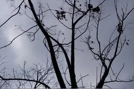 故事：男子上山游玩，看见一个和尚背着一个受伤的女人，进入山洞图片