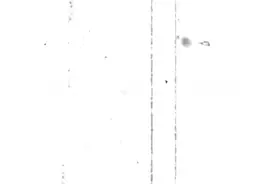 过马路“新姿势”学起来！骑车人通过人行横道时应下车推行图片